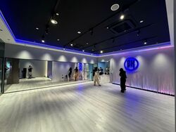 The Luxe (D9), Retail #535173551